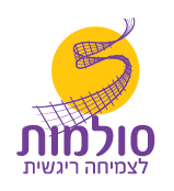 מסמך מצורף